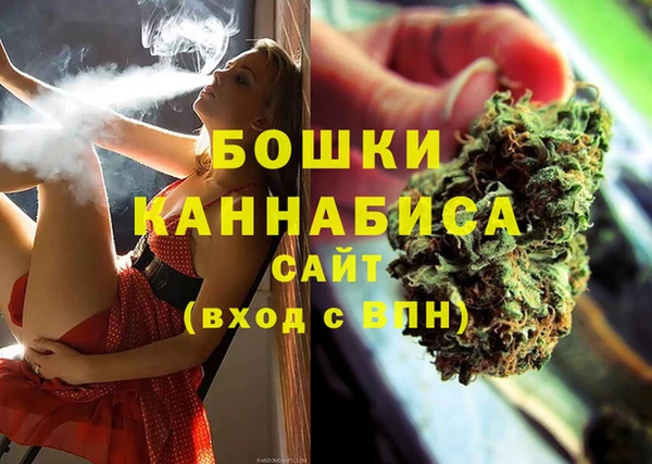 дурь Каменка