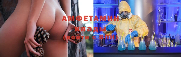 дурь Каменка