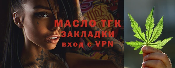 ешки Каменногорск