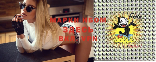 дурь Каменка