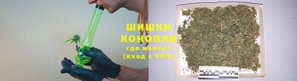 дурь Каменка