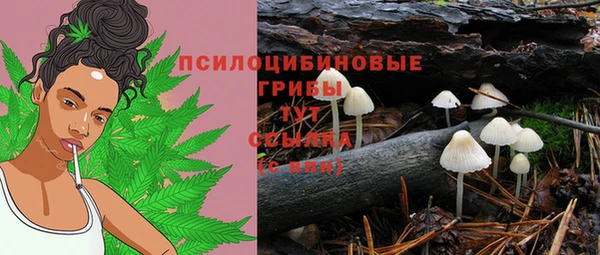 дурь Каменка