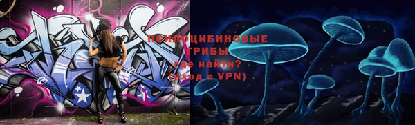 Альфа ПВП Каменск-Шахтинский